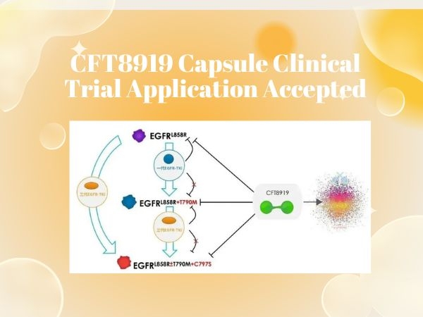 Beda Pharmaceuticals‘ CFT8919 Capsule Clinical Trial Application Accepted
