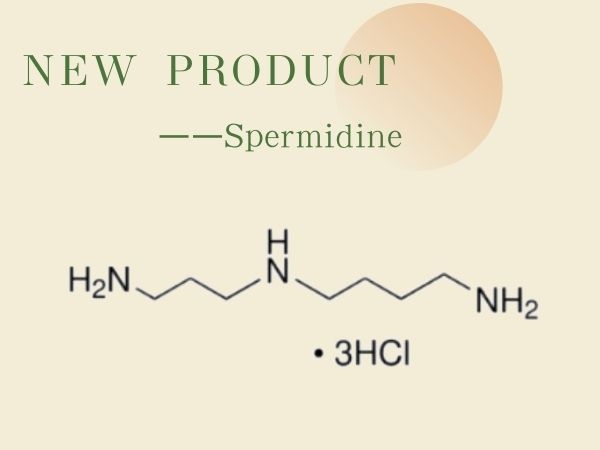 产品上新——亚精胺